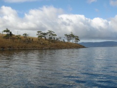 Tasmania 2008